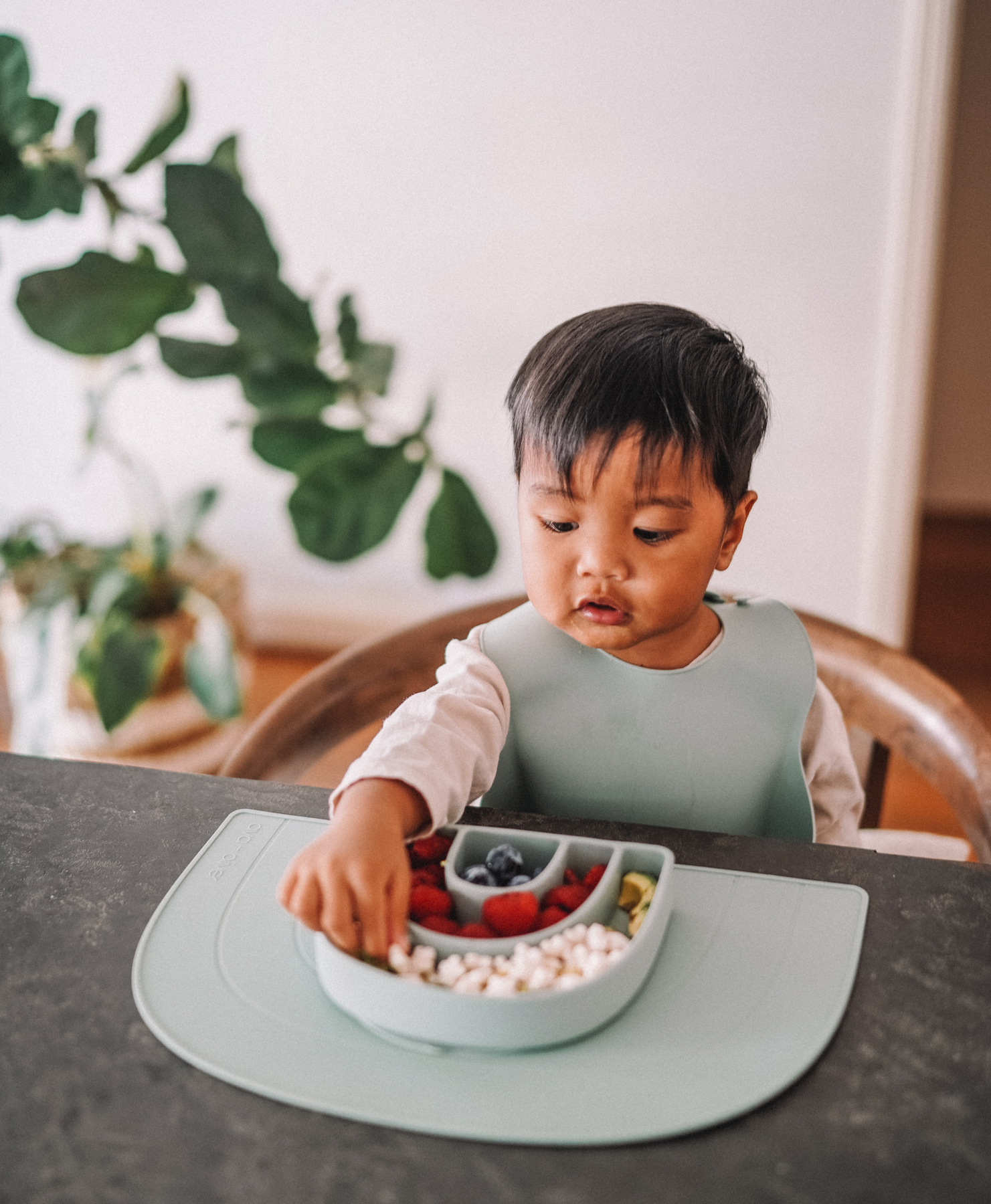 Ava + Oliver: Rainbow Plate | Mint Ava + Oliver: Rainbow Plate | Mint